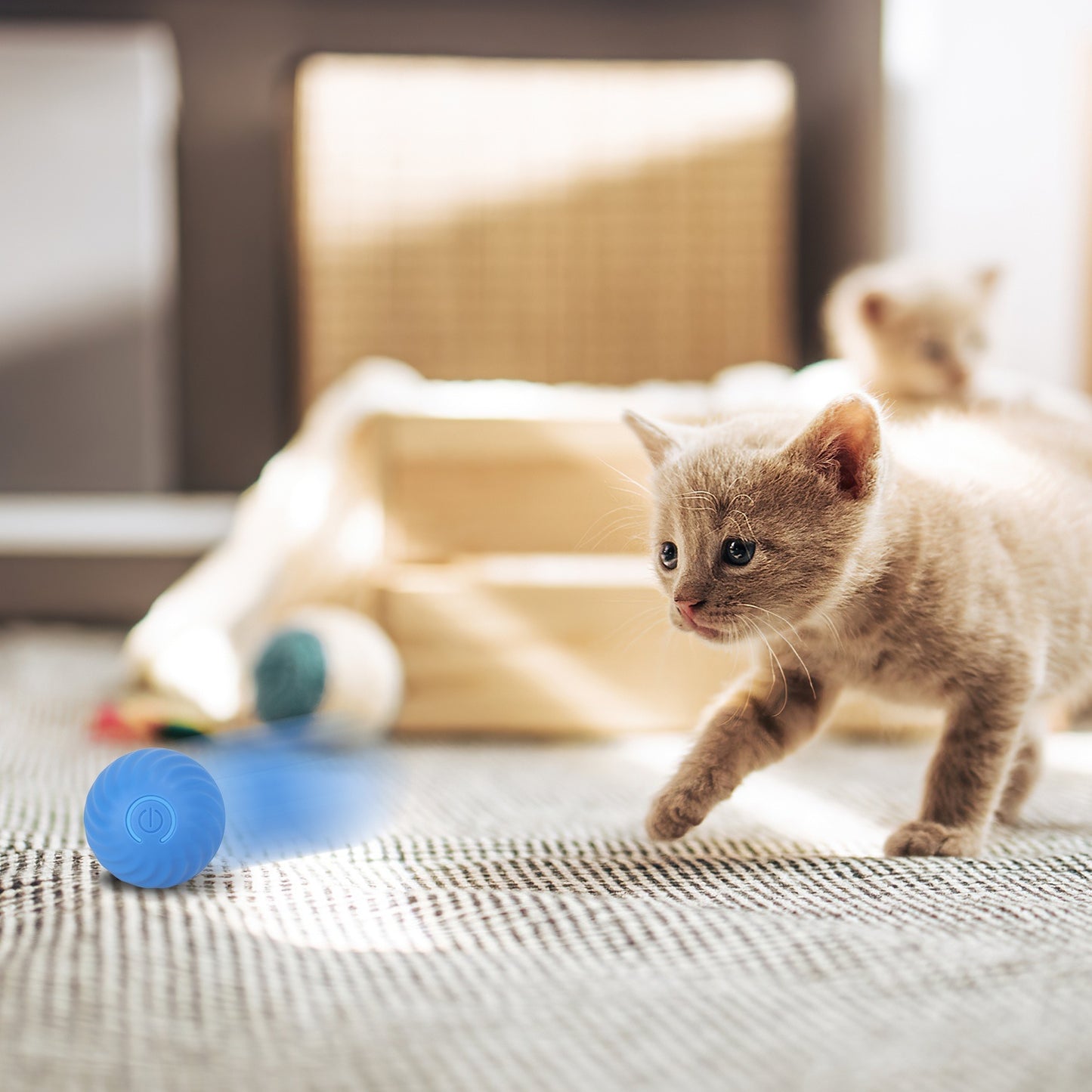 Rechargeable Interactive Cat Toy Ball – Motion Activated Rolling Ball with Cloth Pouch, Hide & Seek Hunting Game for Indoor Cats